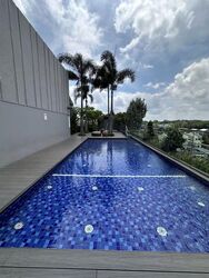 Peak Residence (D11), Condominium #595898281